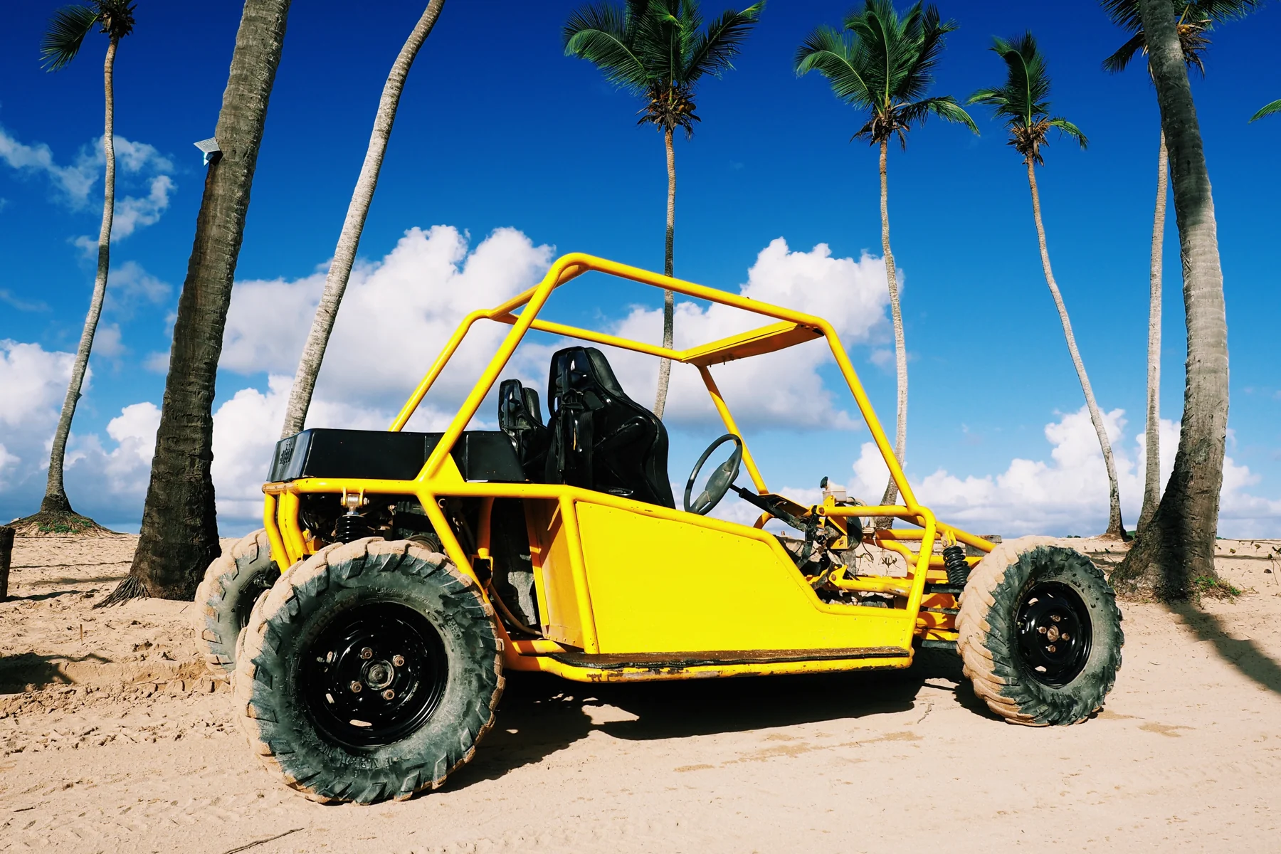 Buggy and palm trees in Punta Cana