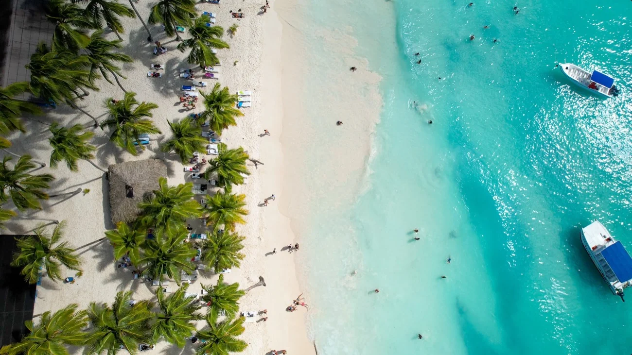 Aerial view of Saona’s beach and palm trees